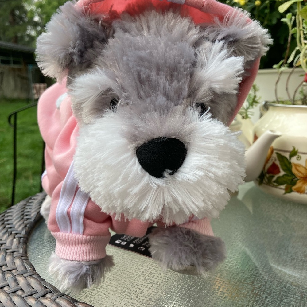 COPY - Too cute!  Addidog tracksuit for your little girl furbaby. Size S by Paw…